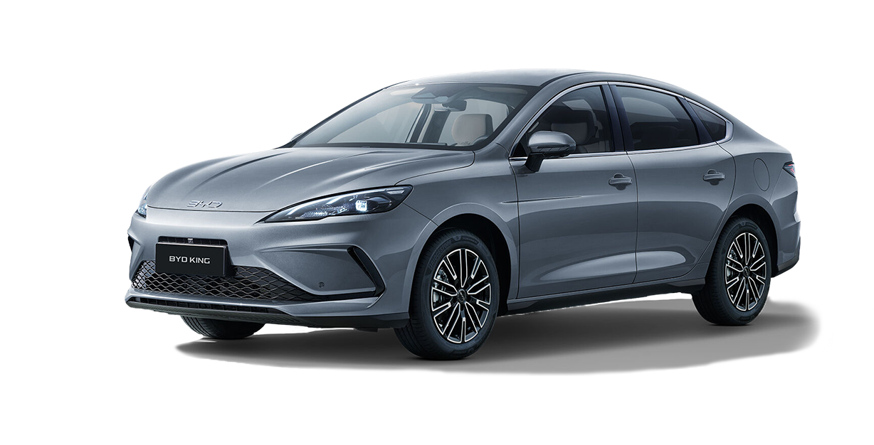 BYD KING